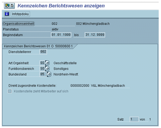Infotyp Berichtswesen zur Ebenendefinition im Organisationsmanagement