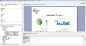 BIRT Overview
